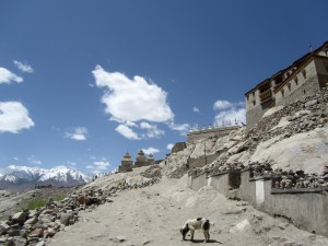 shey gompa_3
